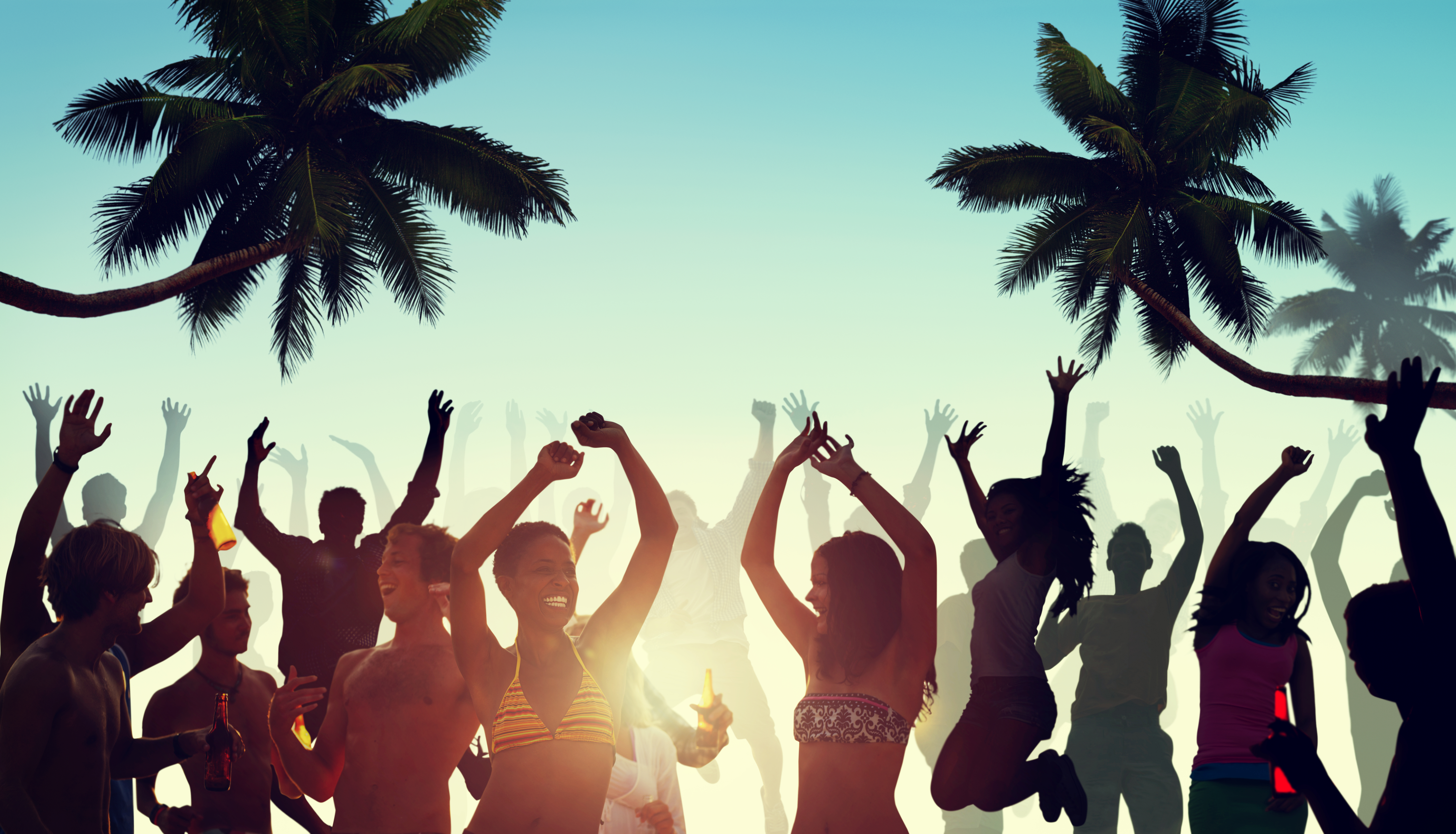 A-Vibe Web Development Hub